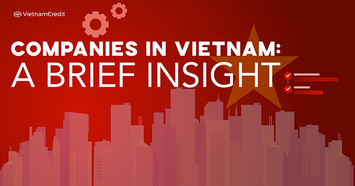 Companies in Vietnam: a brief insight